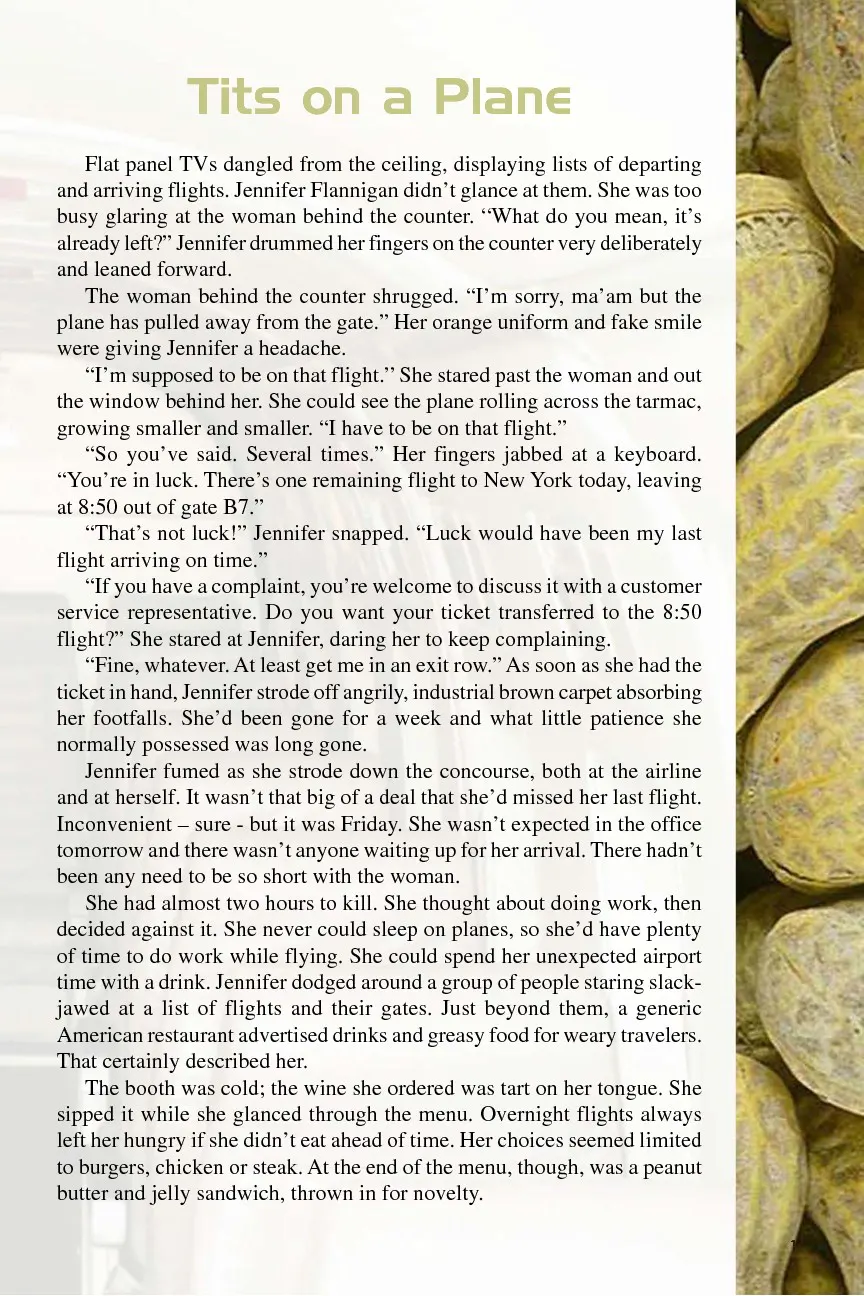 Tits On A Plane  (Chapter 01) — page 4