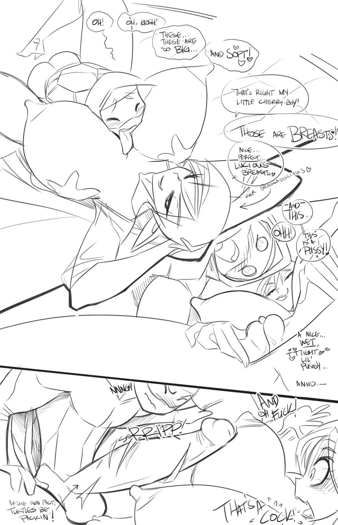 Syx Ninja Go - Teenage Mutant Ninja Turtles  (Chapter 01) — page 3